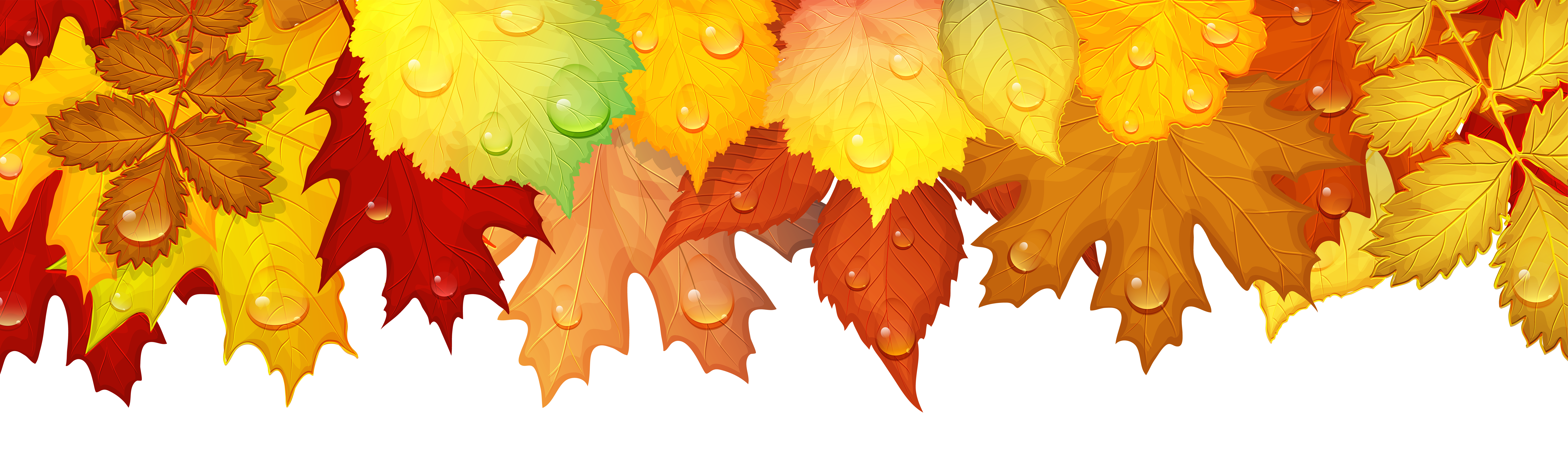 Fall Leaves Deco Border PNG Clip Art.