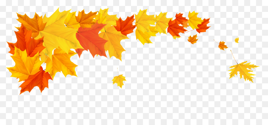 Autumn leaf color Clip art.