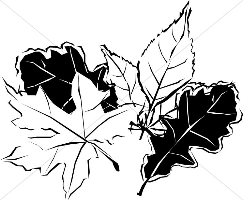 Black and White Autumn Leaves.