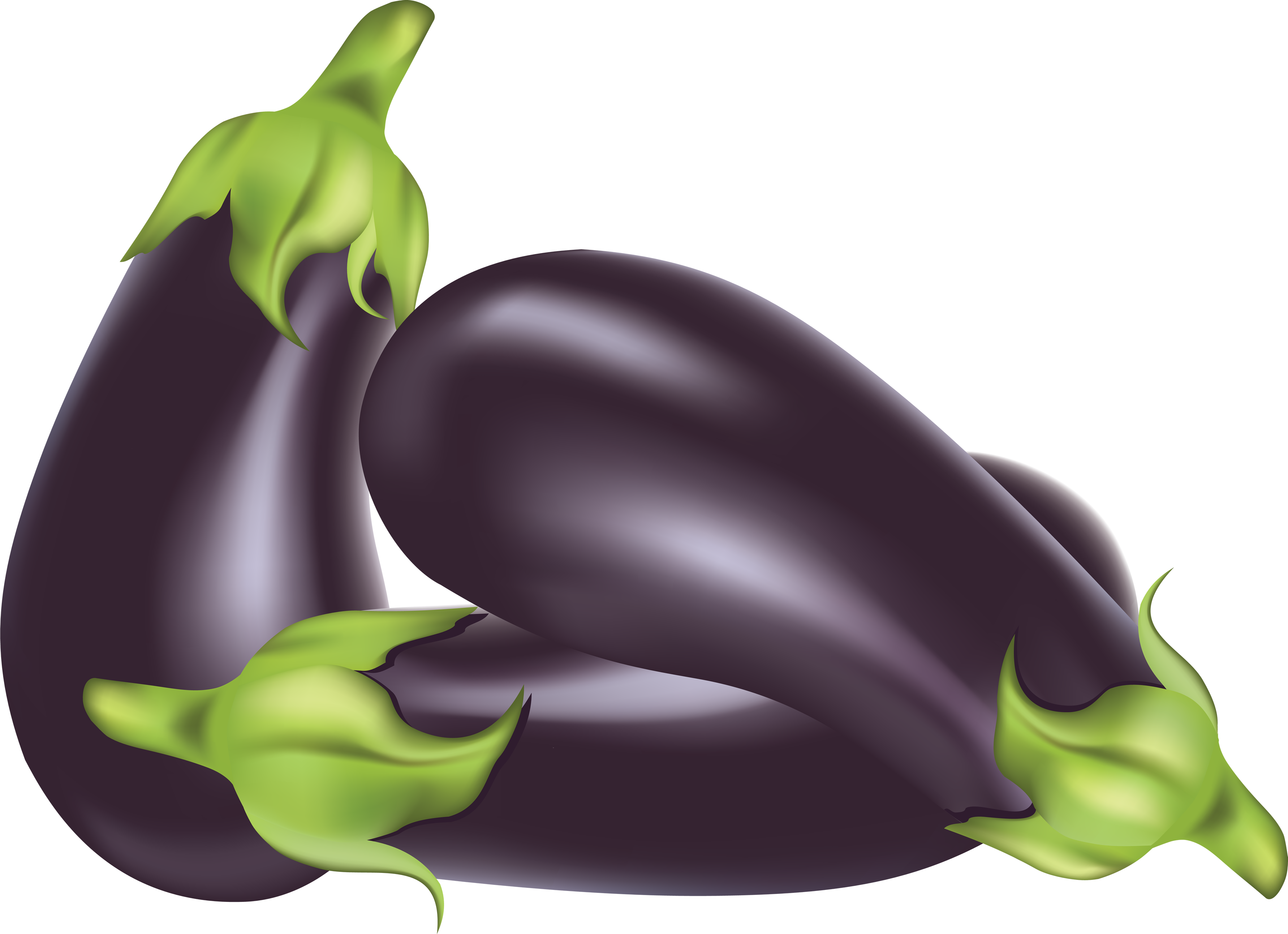 Aubergine clipart.