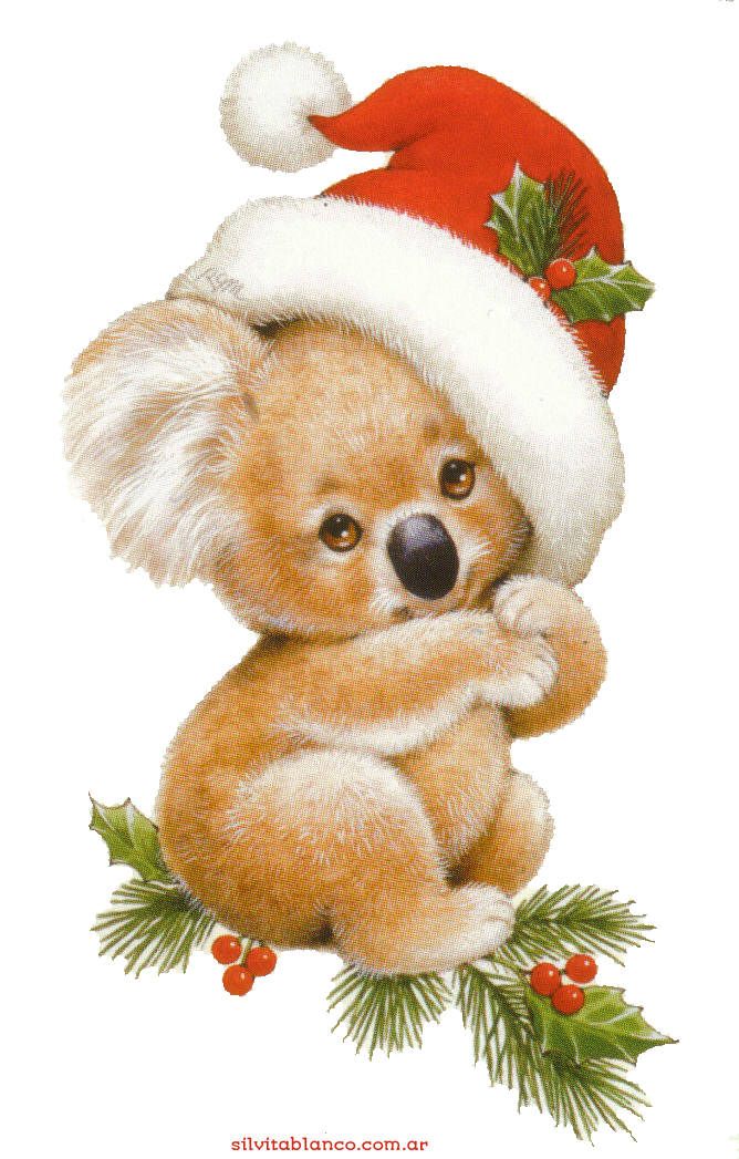 CHRISTMAS KOALA BEAR.