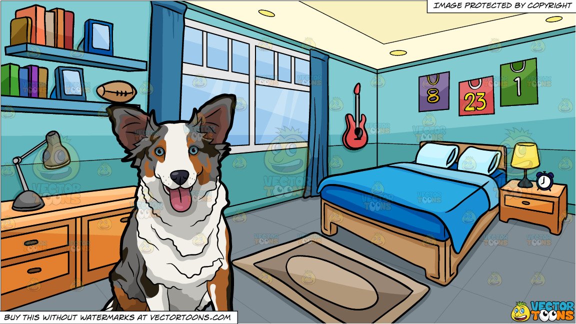 A Cute Australian Shepherd and A Bedroom Of A Boy Background.