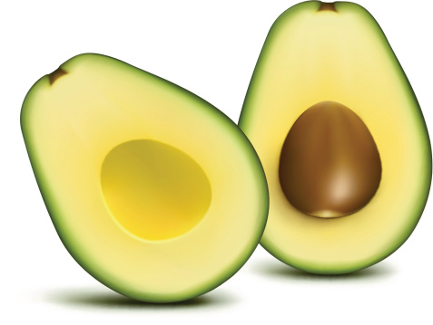 Avocado Clipart.