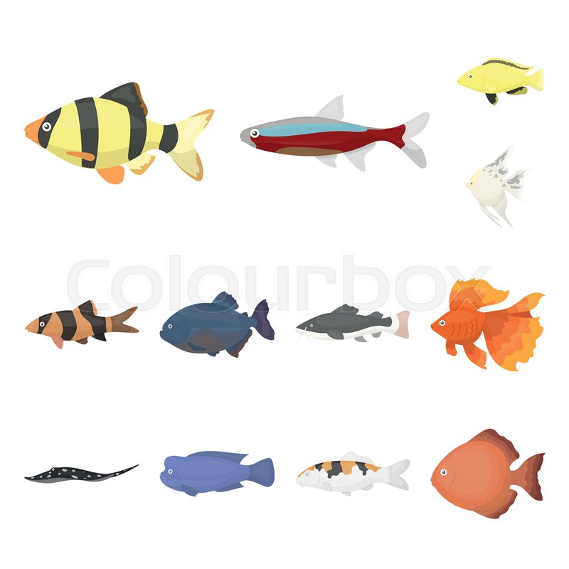 Different types of fish cartoon icons.