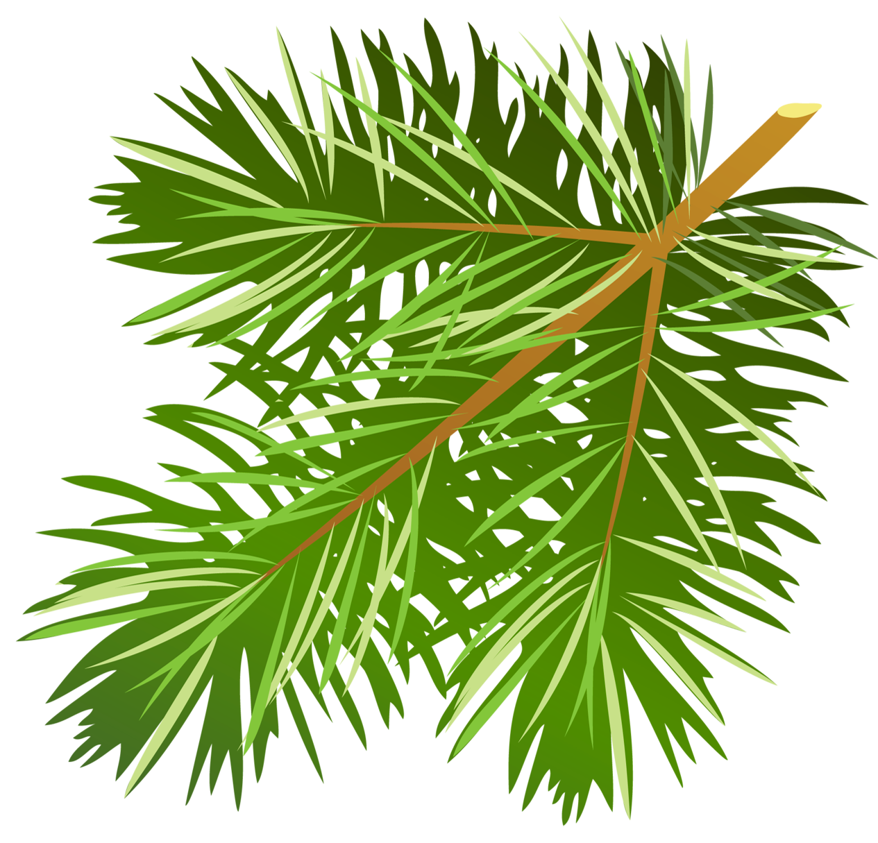 Pine Bough Clipart.