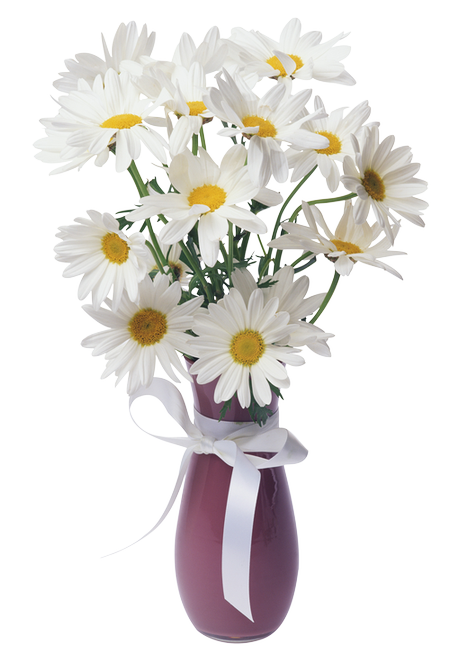 Daisies Transparent Vase Bouquet.