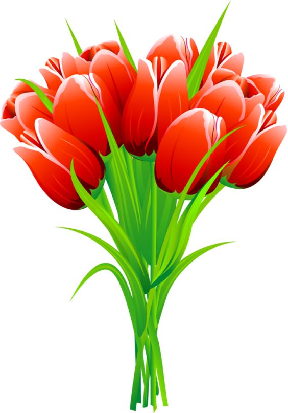 Free Cliparts Tulip Bouquet, Download Free Clip Art, Free.