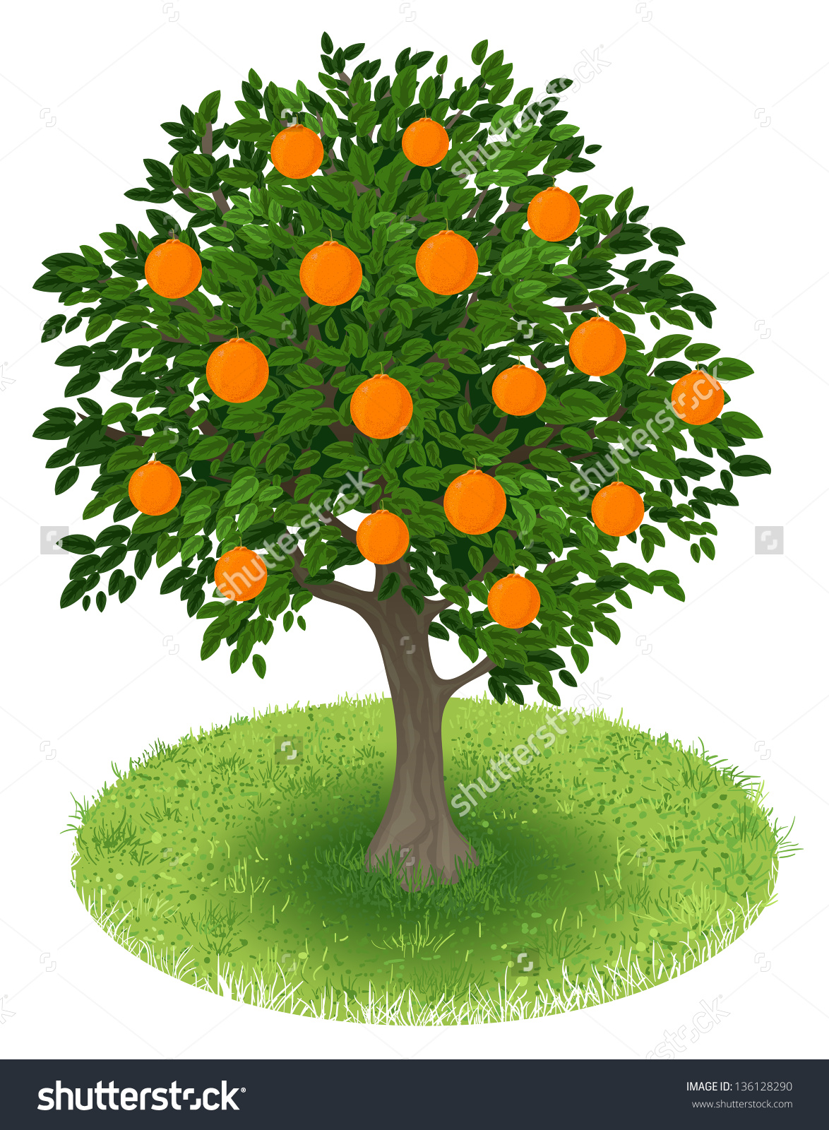 Clipart orange tree.