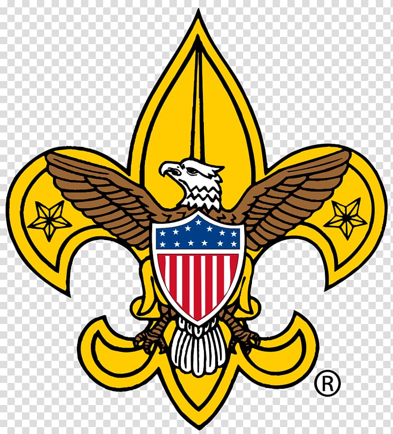 Boy Scouts of America Cub Scouting Boy Scouting Eagle Scout.