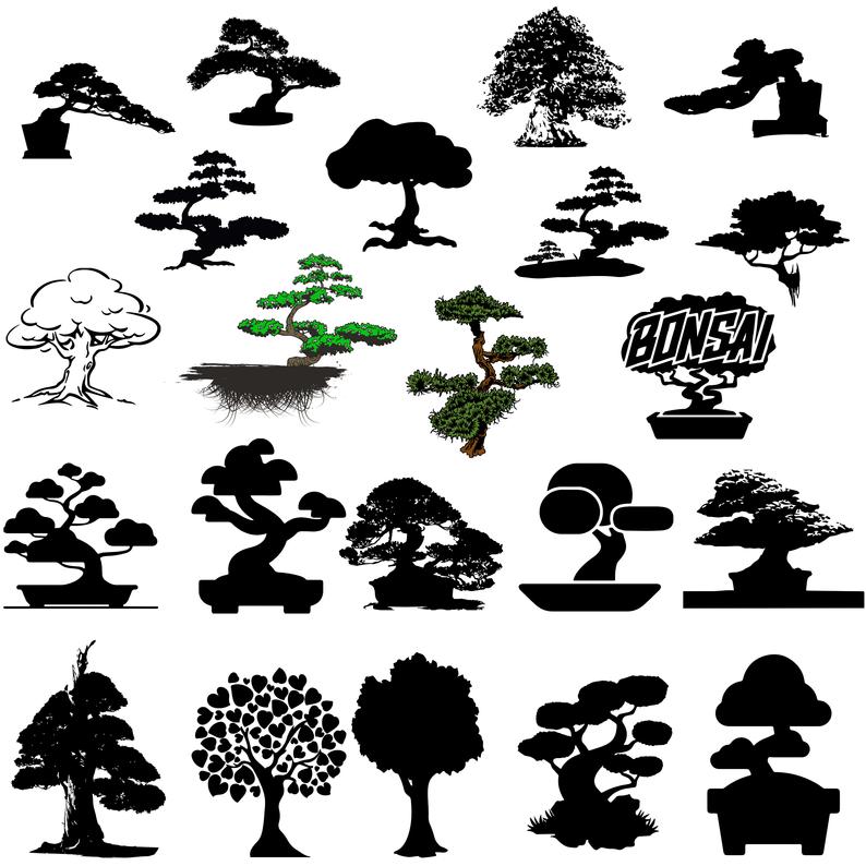 Bonsai trees svg/Trees svg,png,dxf/Bonsai trees clipart for  Print/Design/Cricut/Silhouetteetc.