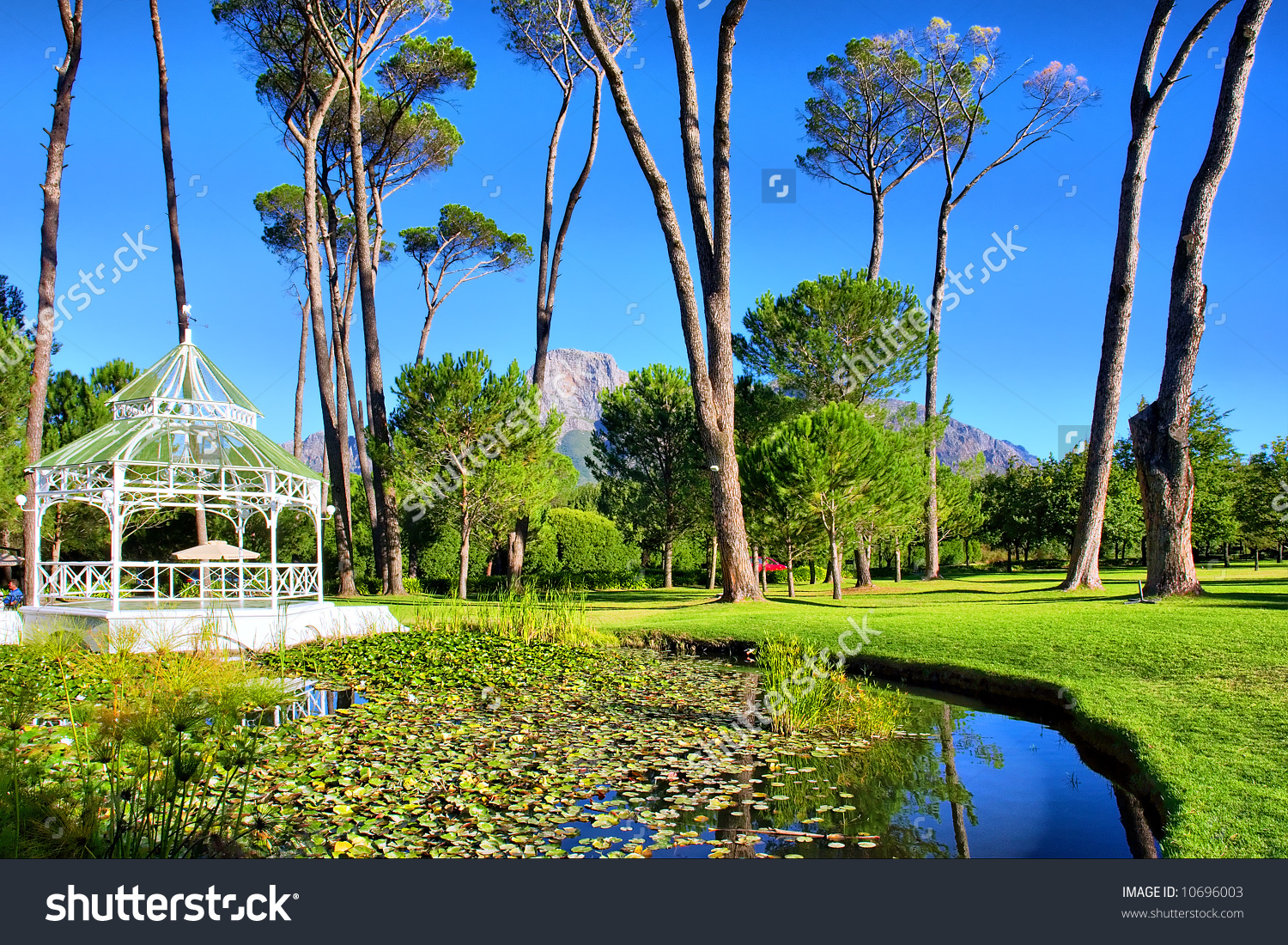 Pond In Park.