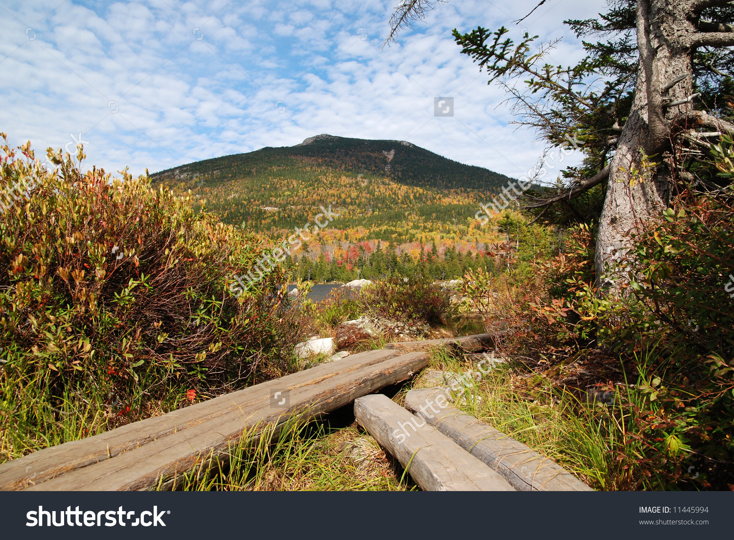 Paths Meeting Infront Of South Turner Mountain And Sandy Stream.