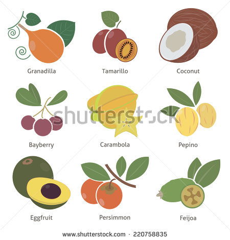 Bayberry Stock Vectors & Vector Clip Art.