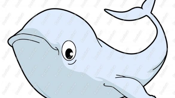 The best free Beluga clipart images. Download from 22 free.