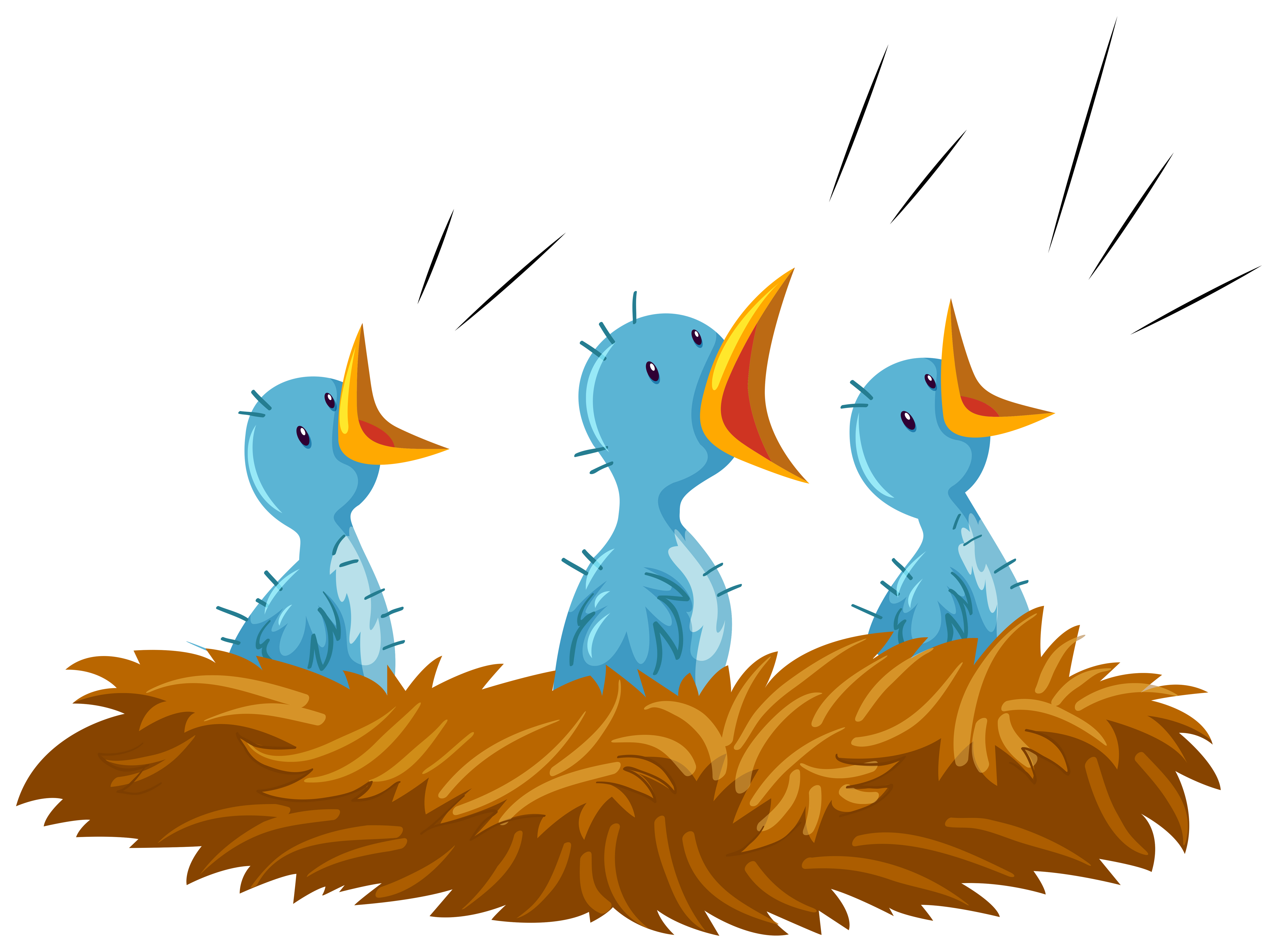 Baby Birds Nest Free Vector Art.