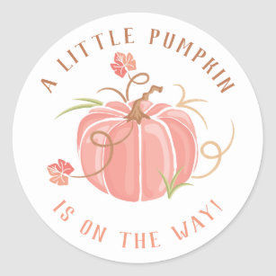 Little Pumpkin Baby Shower Sticker Girl.