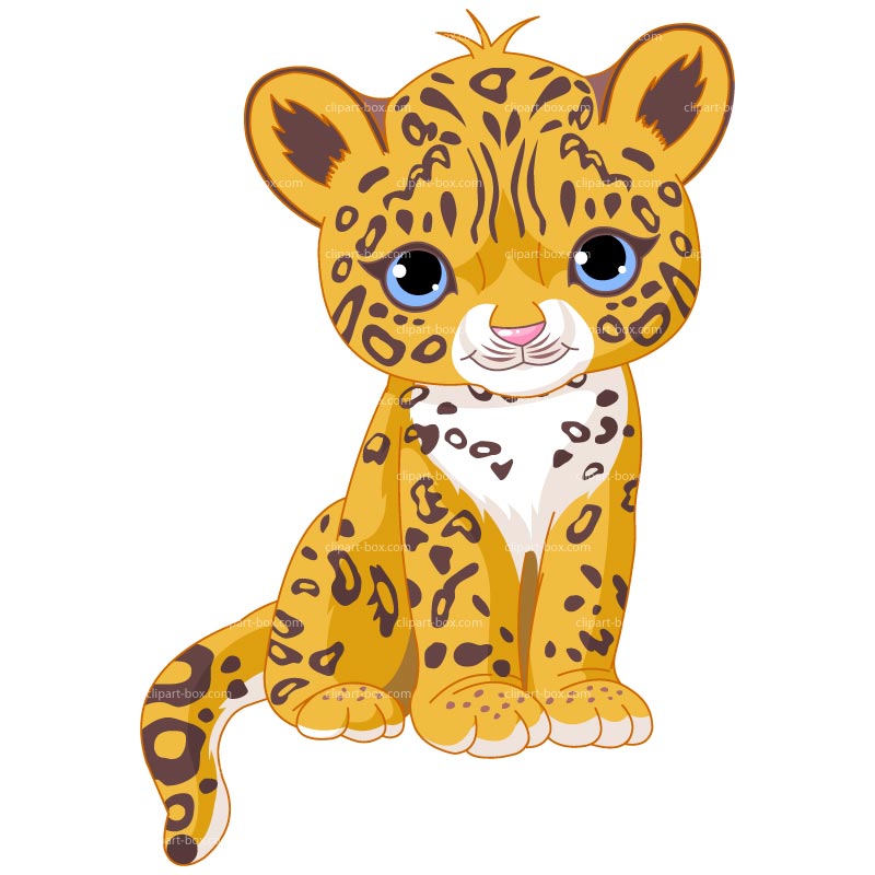 Cute Baby Leopard Clipart.