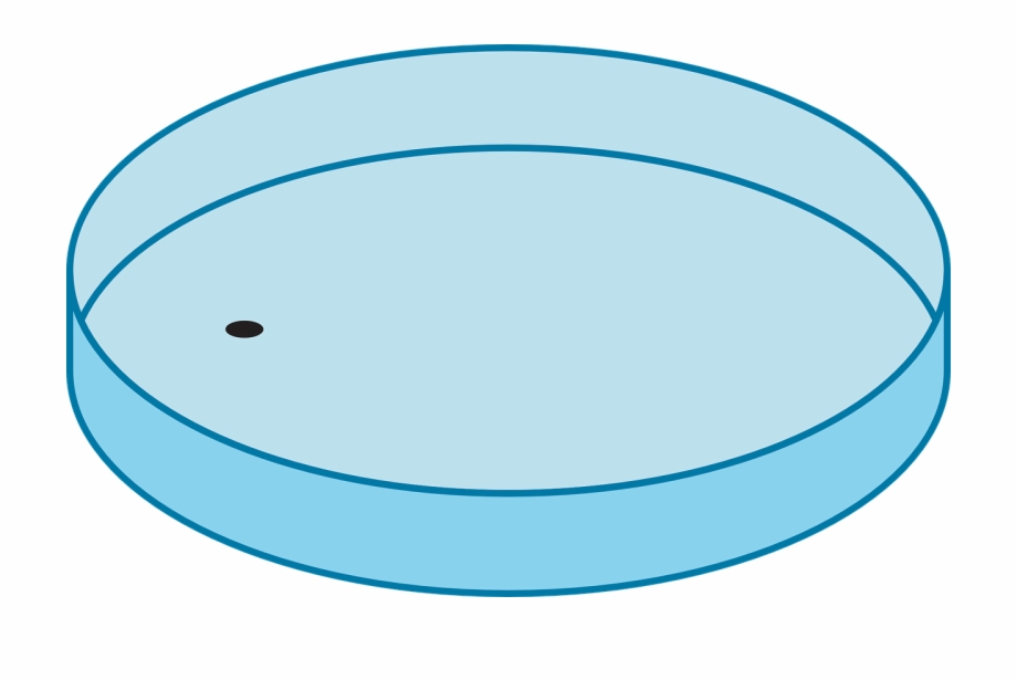 Petri Dish Bacteria Science Lab Png Image.