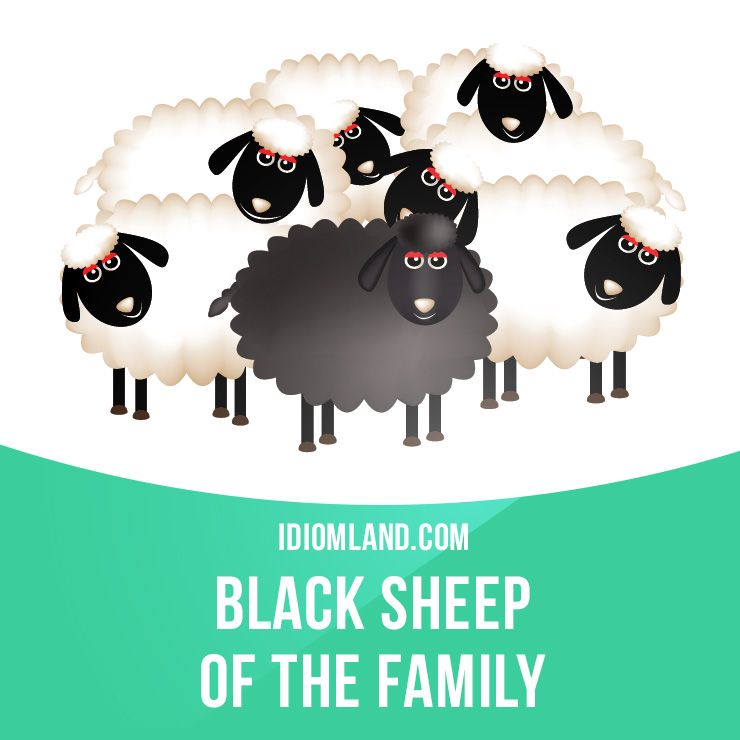 Black sheep (of the family)” is someone who is thought to be.