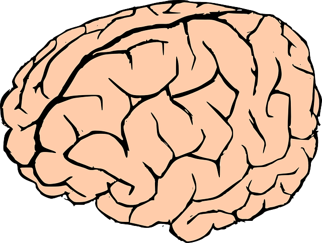 Free to Use & Public Domain Brain Clip Art.