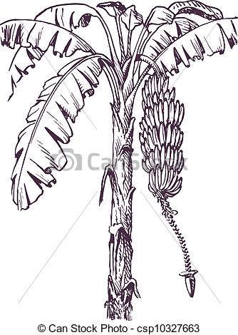 Clip Art Vector of Banana tree with banana fruit and banana flower.