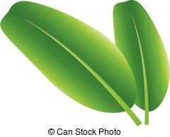 Banana Leaf Clipart.