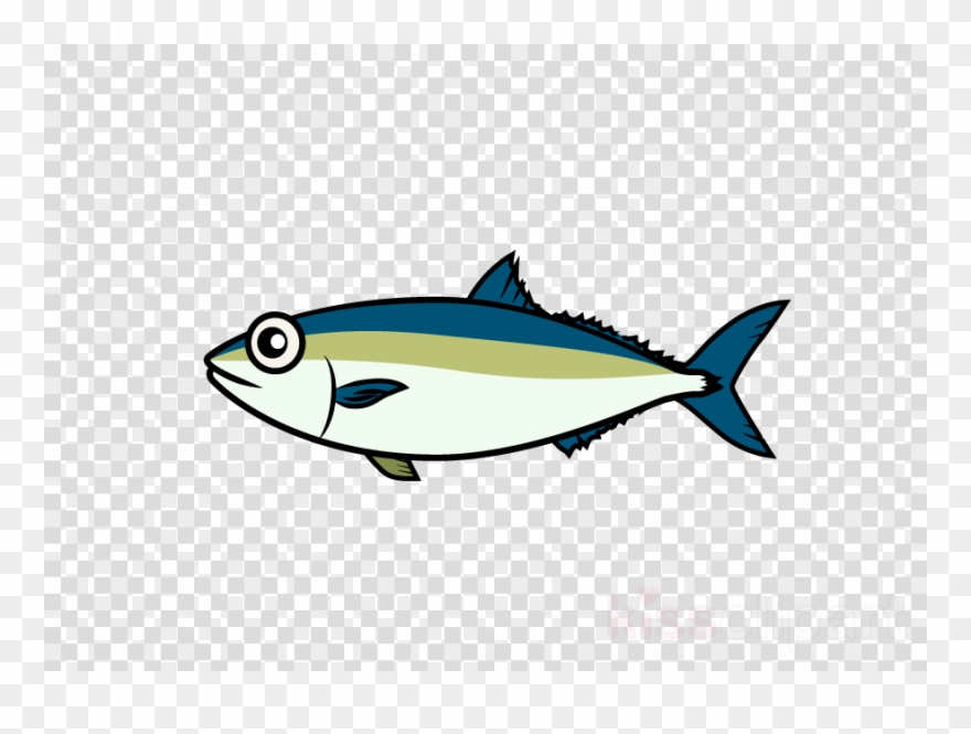 Download Japanese Amberjack Clipart Bony Fishes Japanese.