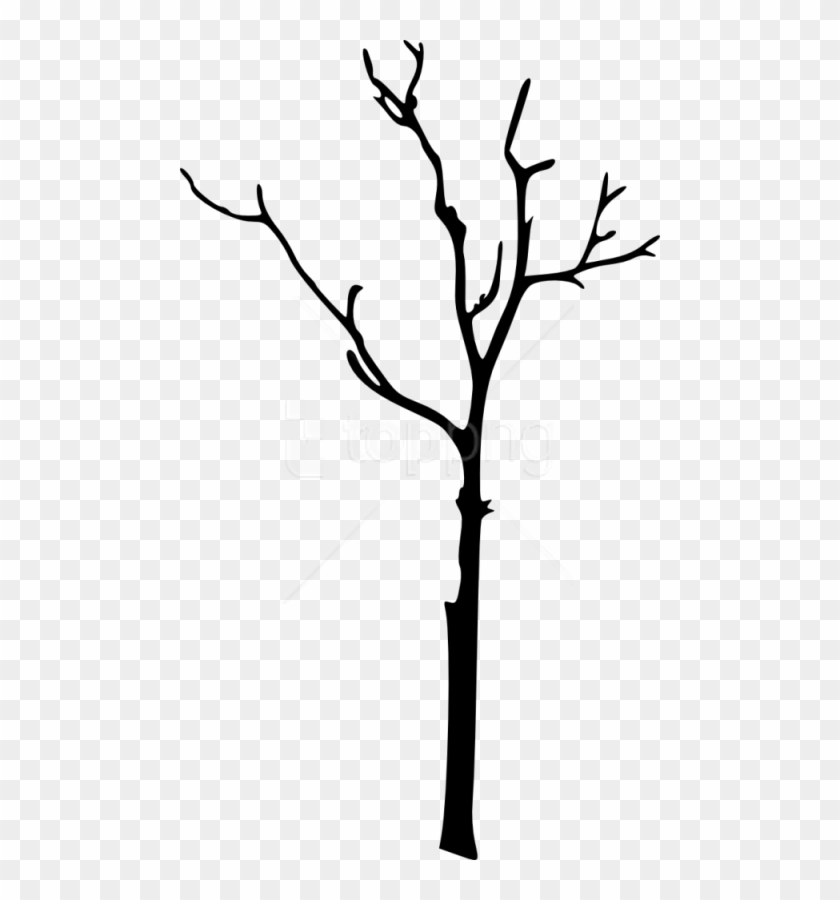 Free Bare Tree Silhouette Free Images Transparent Png.