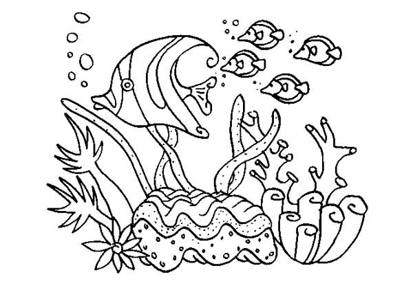 coral reef fish underwater world coloring pages great.