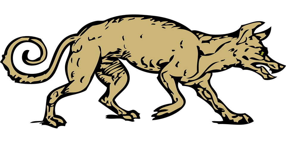 Free vector graphic: Coyote, Wolf, Animal, Canine, Dog.