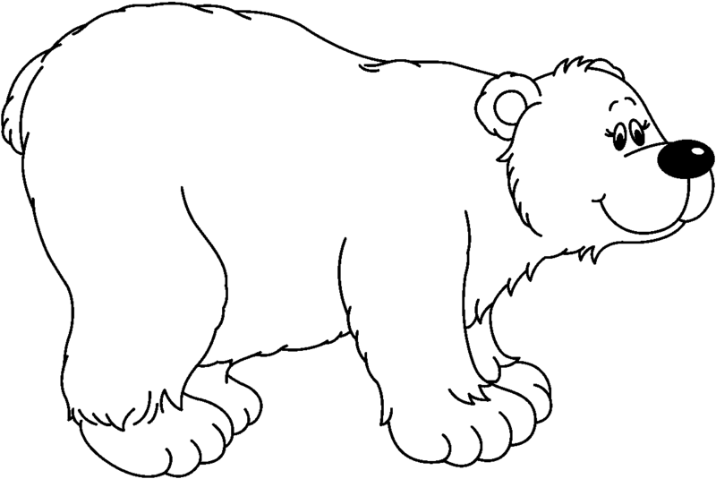 Download Free png Bear Clipart Black And White.