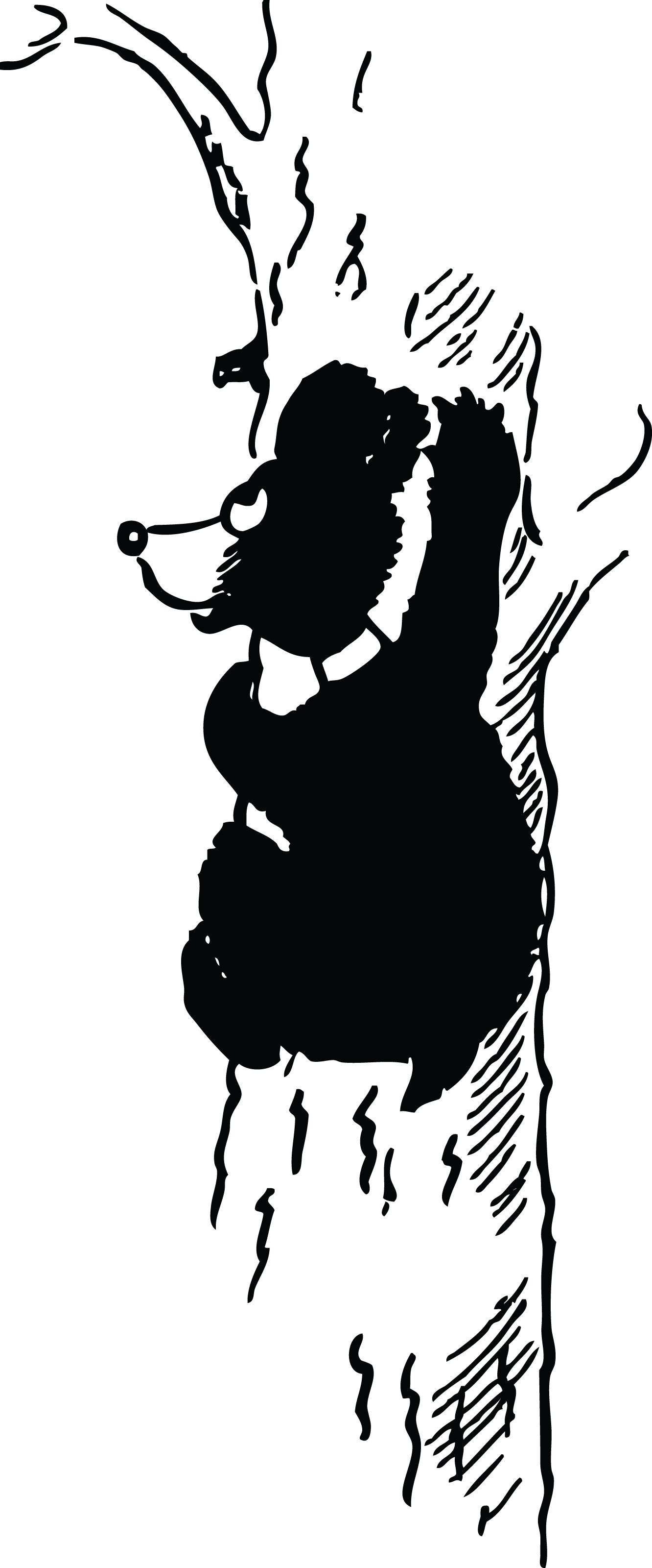 659 Black Bear free clipart.