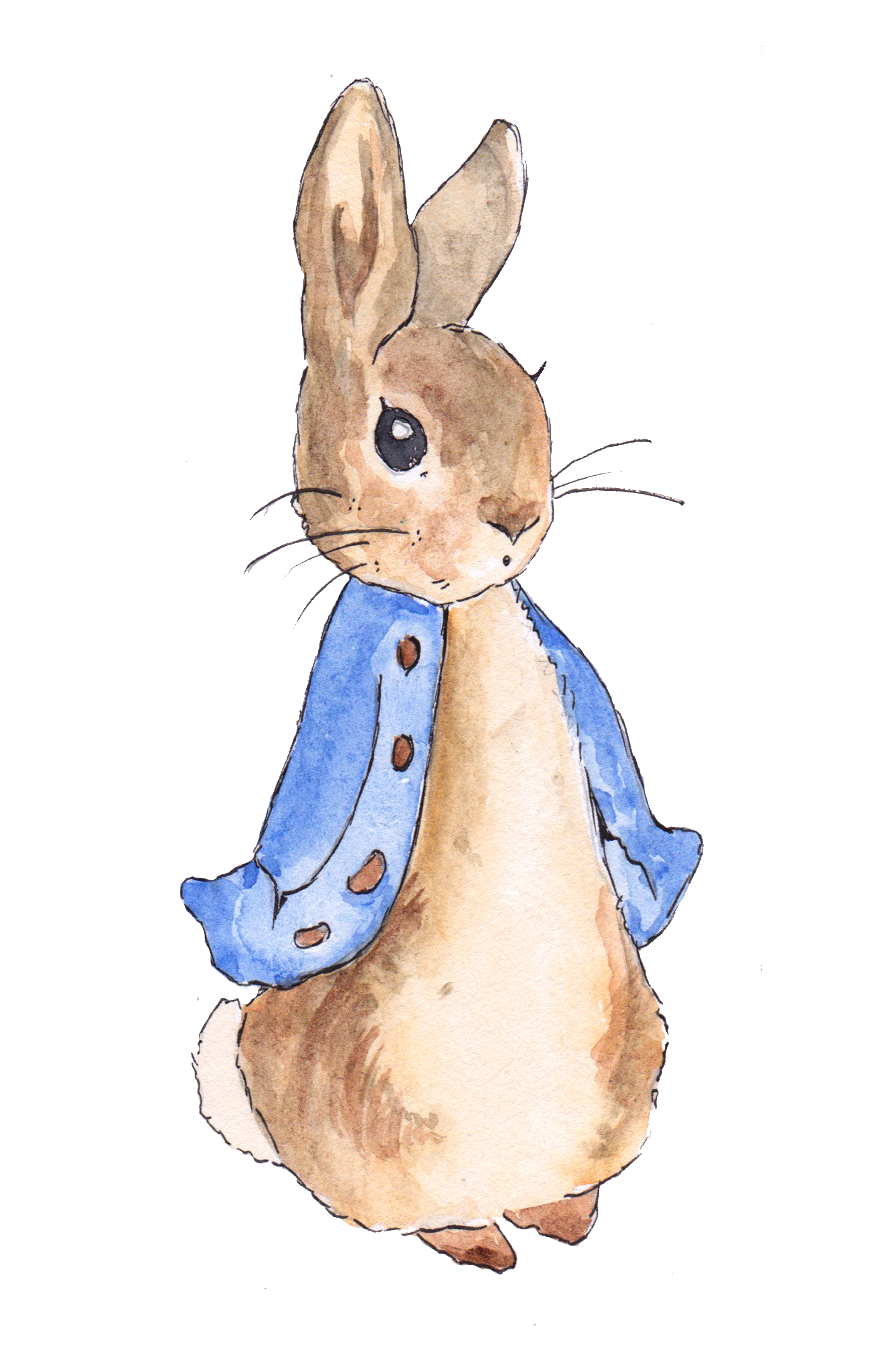 Peter Rabbit in 2019.