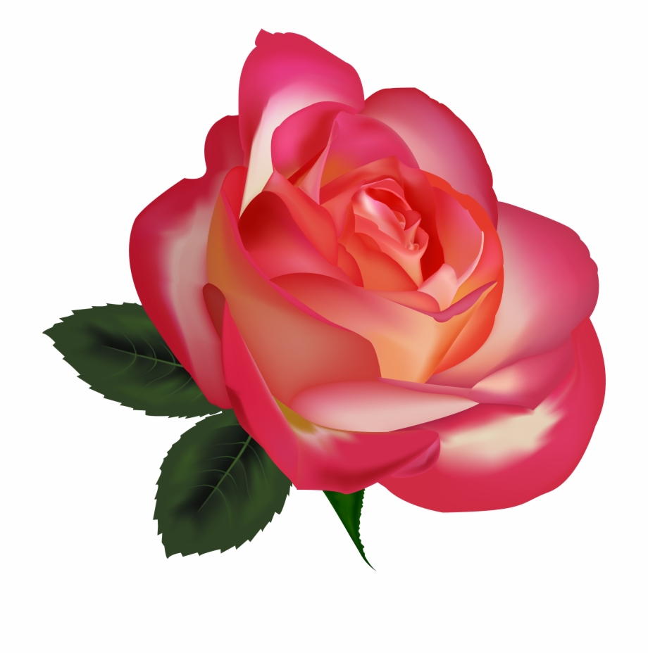 Beautiful Rose Png Clipart Image Clipart Rose Emoji.