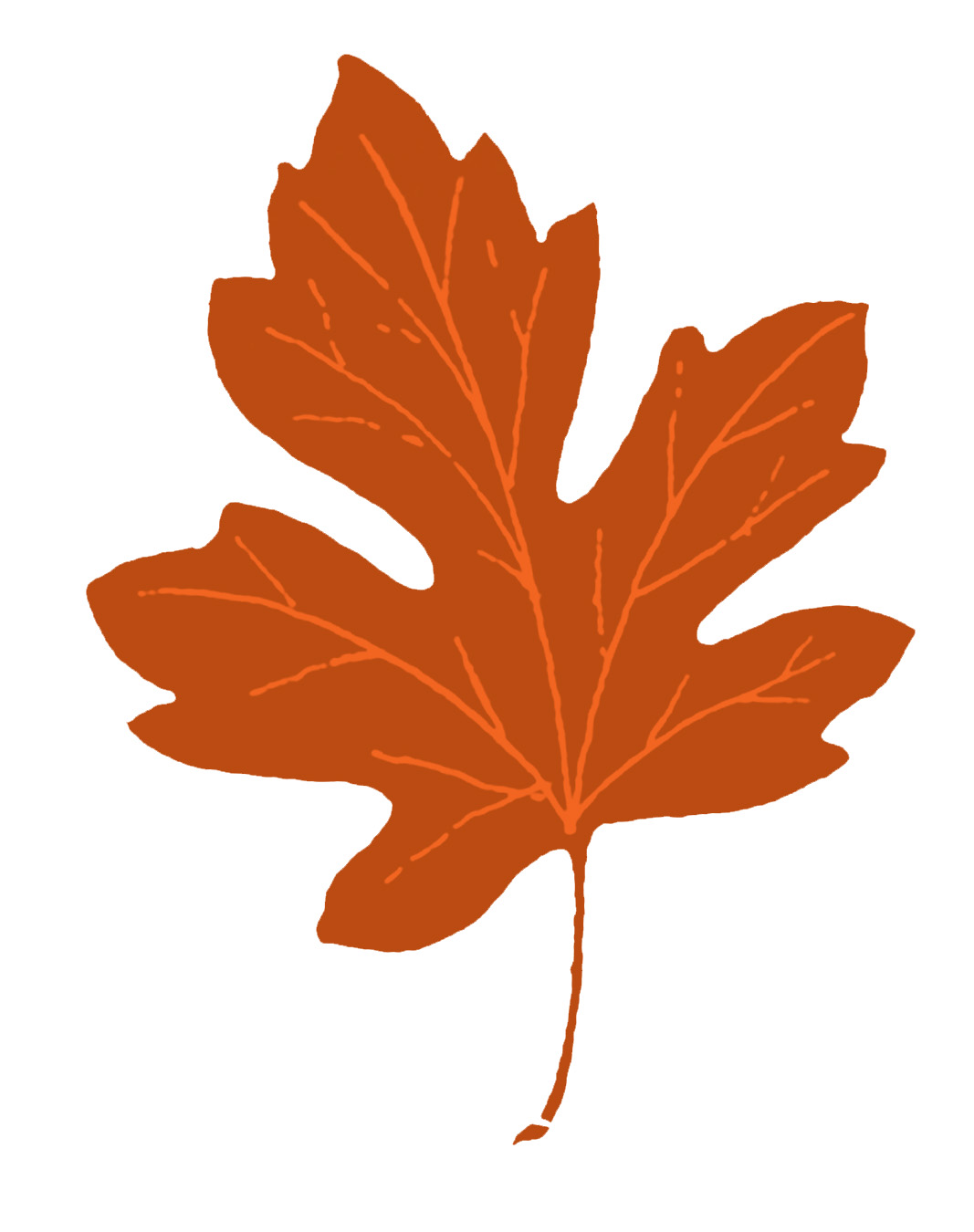 Fall leaves clip art beautiful autumn clipart 3.