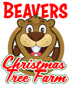 Beavers Christmas Tree Farm.