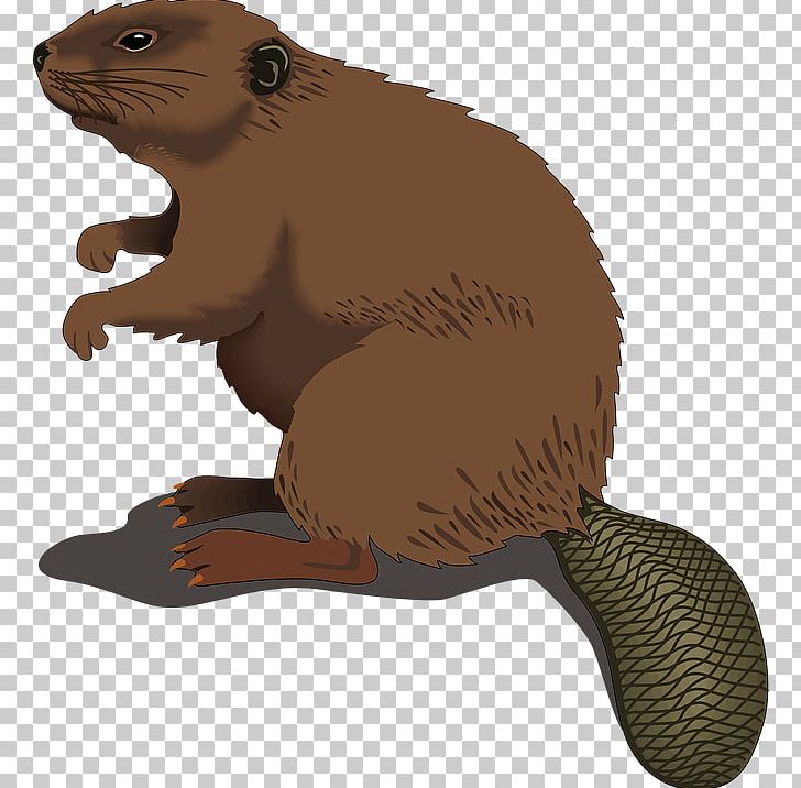 North American Beaver Silhouette PNG, Clipart, Beaver, Beaver Dam.