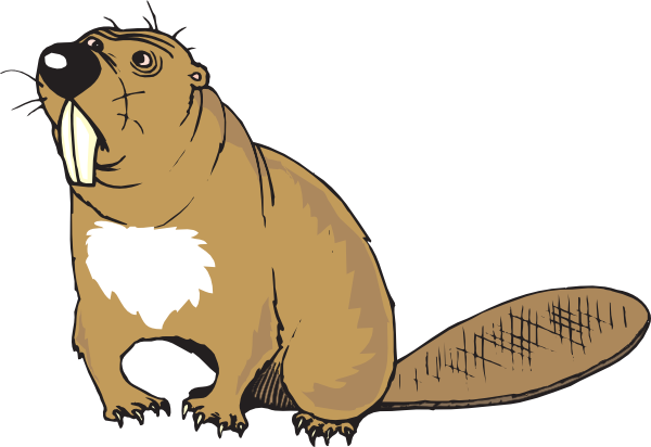 Beaver Tail Clipart.