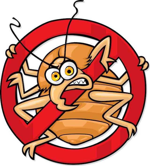 Bedbug 20clipart.