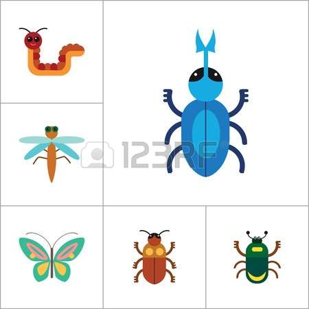 0 Bee Mite Stock Vector Illustration And Royalty Free Bee Mite Clipart.