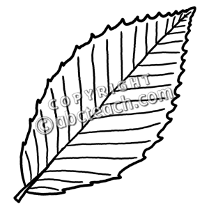 Similiar Beech Leaf Clip Art Keywords.