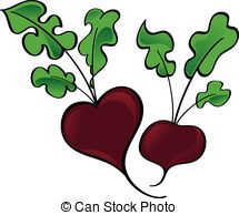 Beet Vector Clipart EPS Images. 2,757 Beet clip art vector.