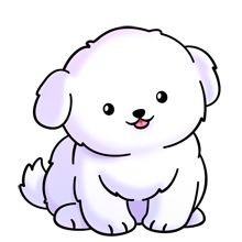 Bichon clipart.