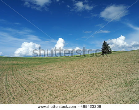 Furano Japan Stock Photos, Royalty.