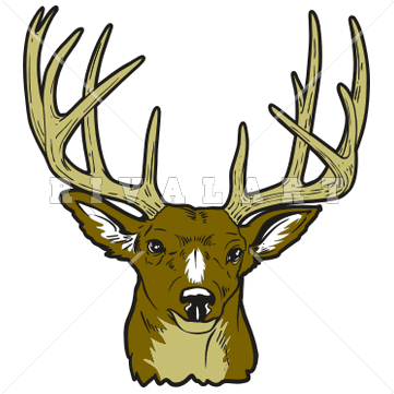 Free Big Buck Cliparts Download Free Clip Art Free Clip.