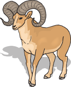 Big Horn Sheep Clipart.