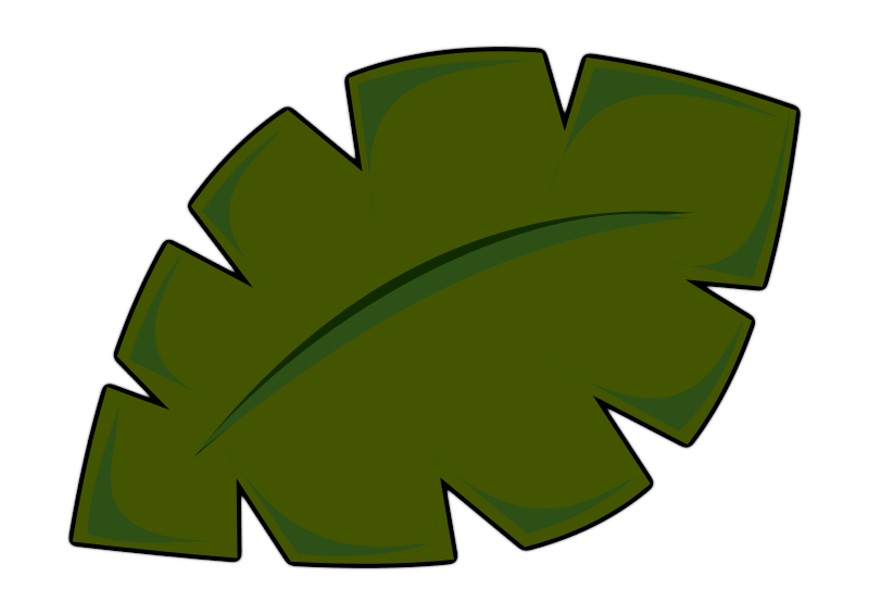 Big leaf clipart.