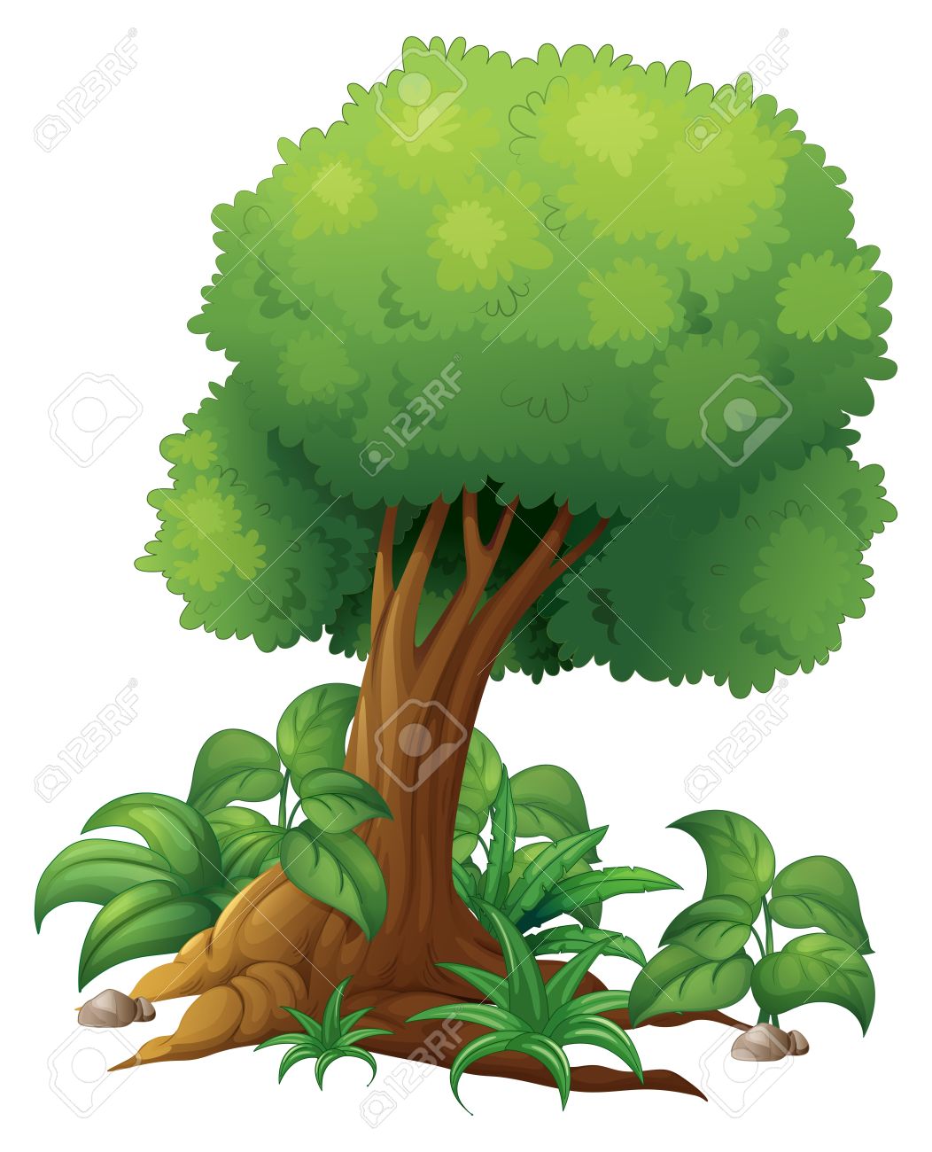 Illustration Of A Big Tree On A White Background Royalty Free.