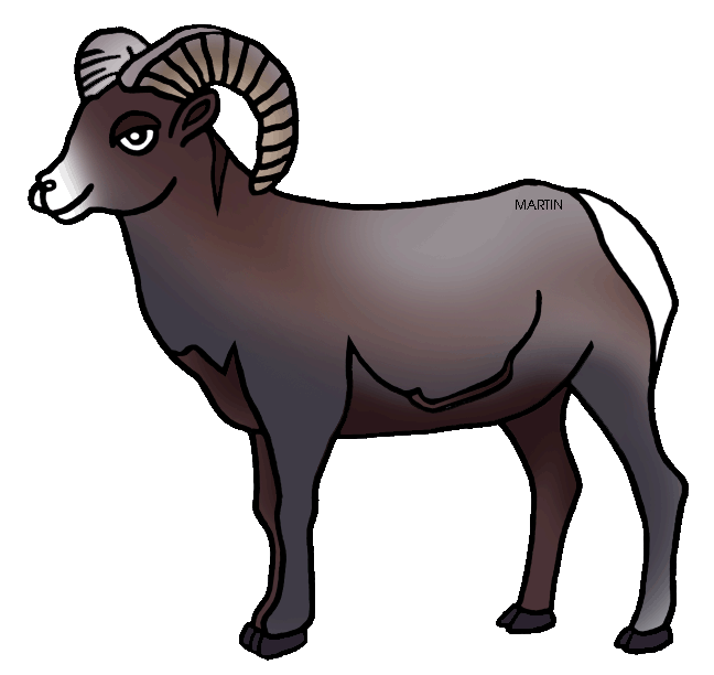 Rocky Mountain Bighorn Sheep Clipart.