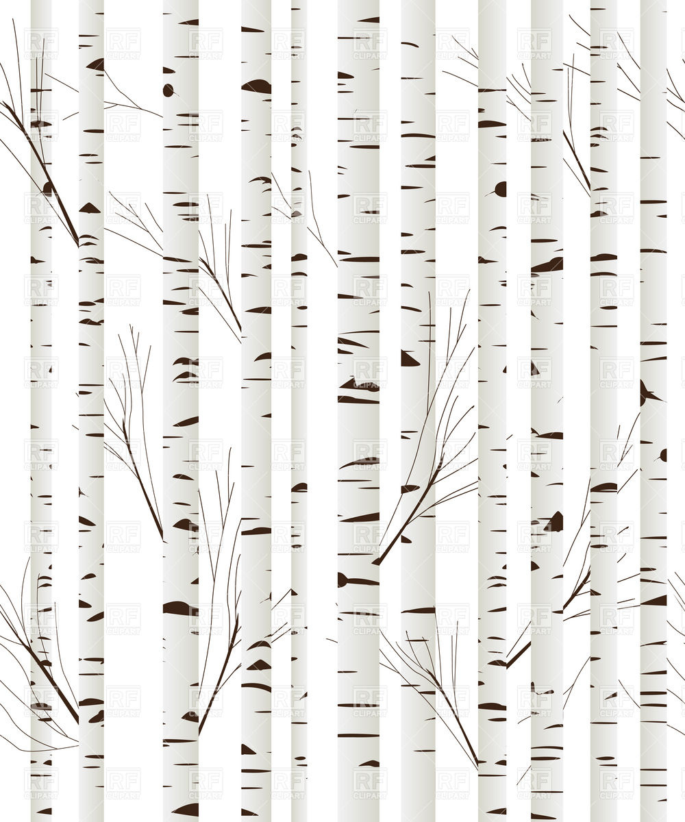 Birch tree trunk clipart.